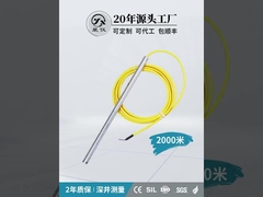 CYW16Y 깊은 우물 타입 액체 레벨 송신기 고 정밀성 마모 저항성